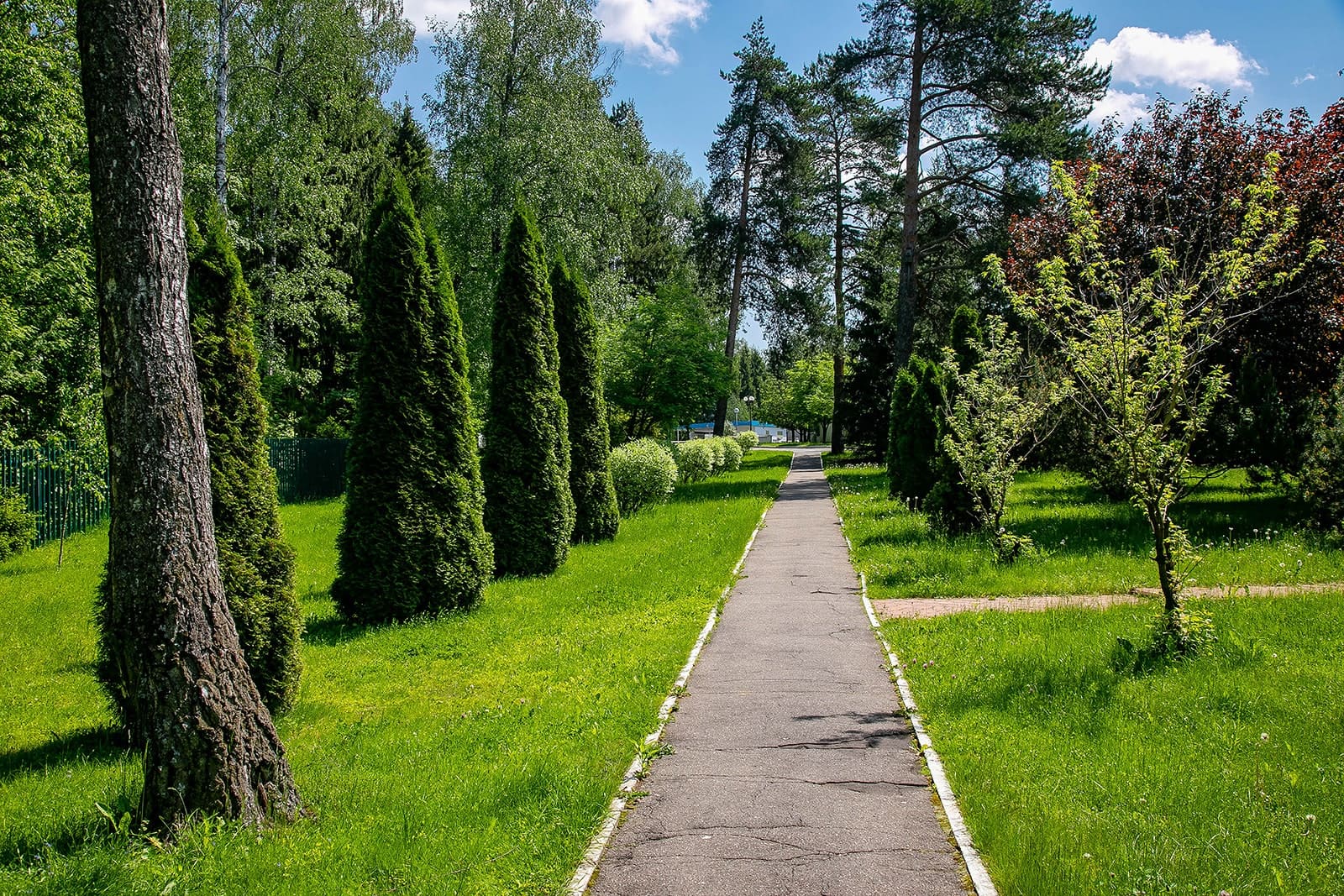 отель богородское